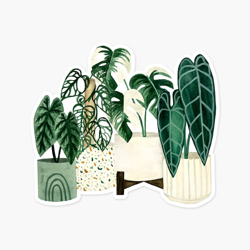 Rare Plants Clear Sticker