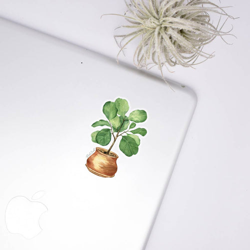 Fiddle Fig Plant Clear Sticker