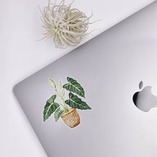 Load image into Gallery viewer, Alocasia Clear Sticker