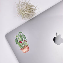 Load image into Gallery viewer, Begonia Clear Sticker