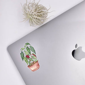 Begonia Clear Sticker