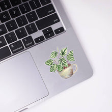 Load image into Gallery viewer, Watermelon Peperomia Clear Sticker