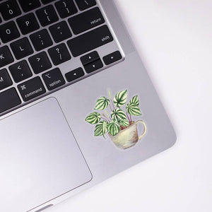 Watermelon Peperomia Clear Sticker