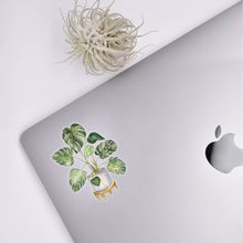 Load image into Gallery viewer, Monstera Clear Sticker