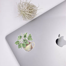 Load image into Gallery viewer, Watermelon Peperomia Clear Sticker