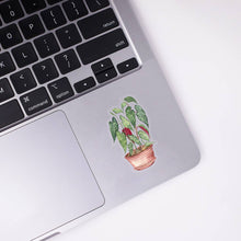 Load image into Gallery viewer, Begonia Clear Sticker