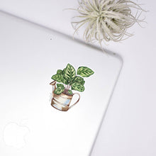 Load image into Gallery viewer, Calathea Clear Sticker