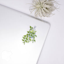 Load image into Gallery viewer, Golden Pothos Clear Sticker