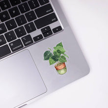 Load image into Gallery viewer, Anthurium Clear Sticker