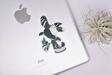 Load image into Gallery viewer, Monstera Variegata Clear Sticker