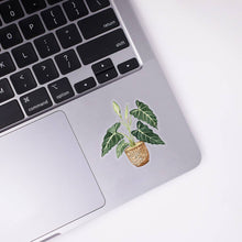 Load image into Gallery viewer, Alocasia Clear Sticker