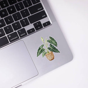 Alocasia Clear Sticker