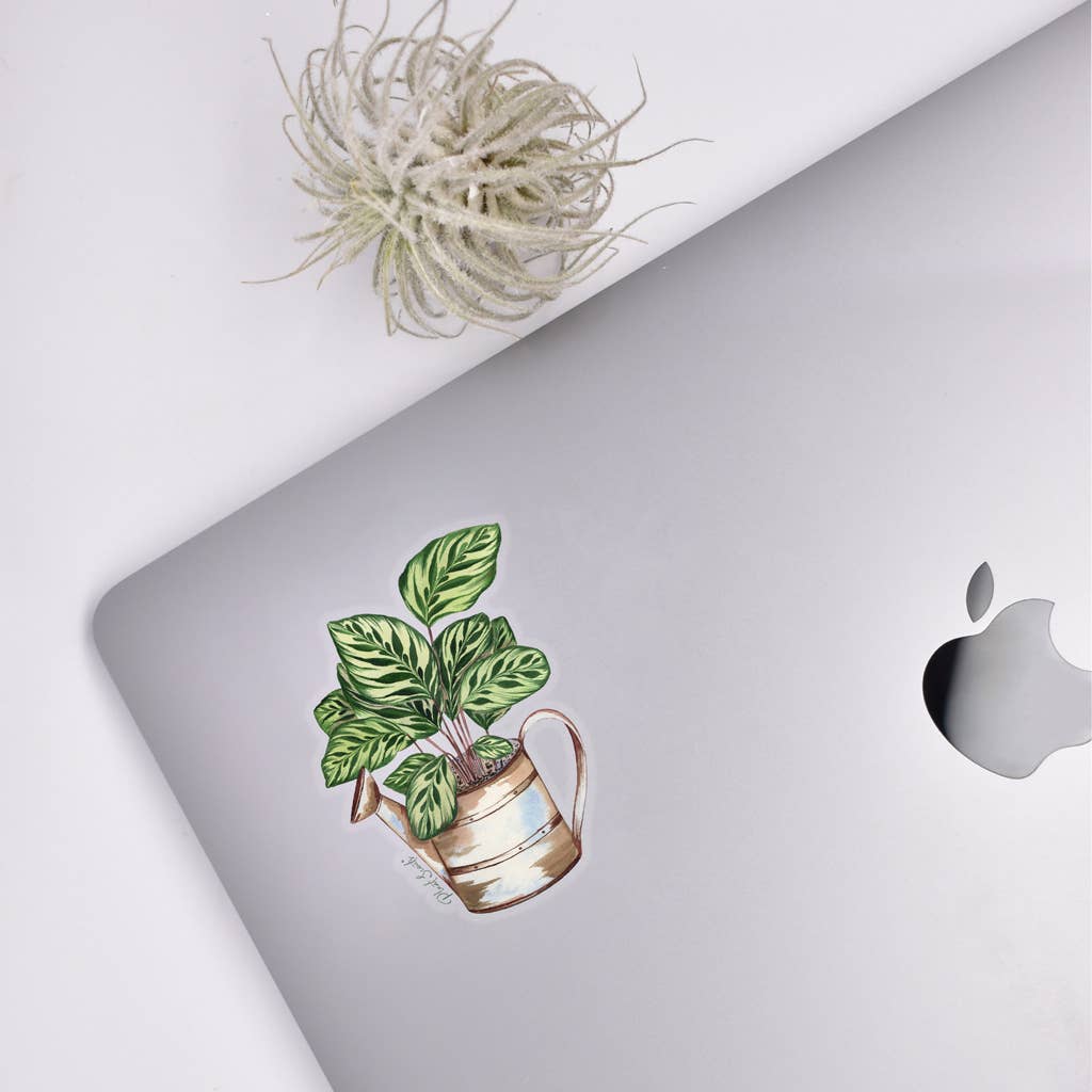 Calathea Clear Sticker
