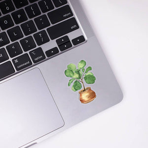 Fiddle Fig Plant Clear Sticker