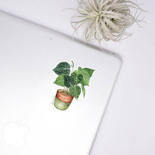Anthurium Clear Sticker