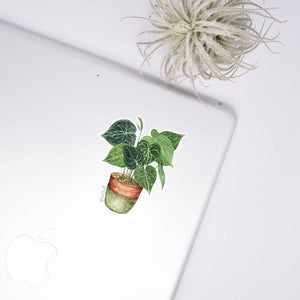 Anthurium Clear Sticker