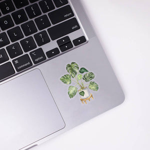 Monstera Clear Sticker