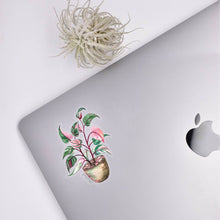Load image into Gallery viewer, Pink Princess Clear Sticker