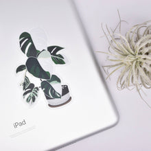 Load image into Gallery viewer, Monstera Variegata Clear Sticker