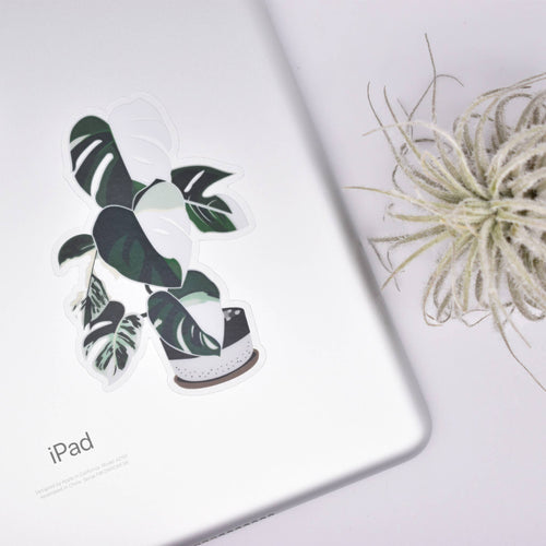 Monstera Variegata Clear Sticker