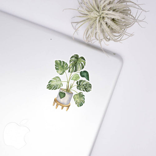 Monstera Clear Sticker