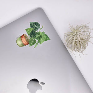 Anthurium Clear Sticker