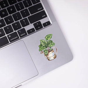 Calathea Clear Sticker