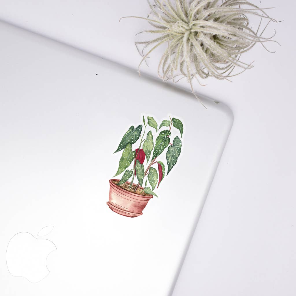 Begonia Clear Sticker